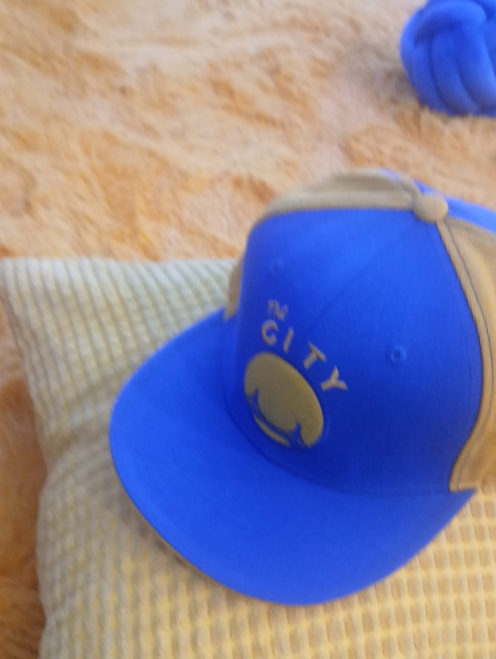 Blue and Tan 'The City' Fitted Hat